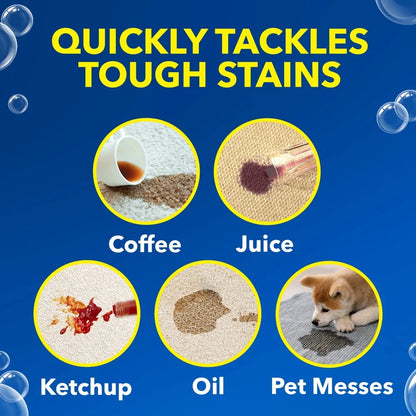 Carpet Stain Remover Spray