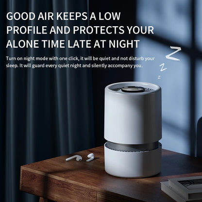 Air Cleaner